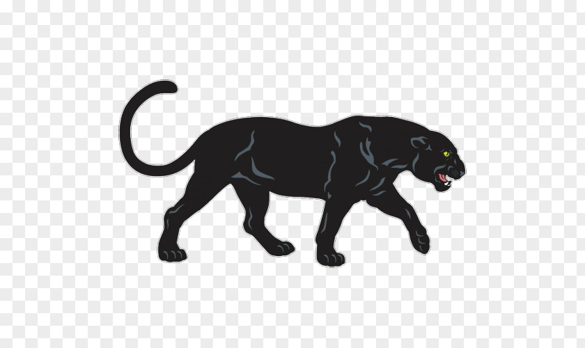 Leopard Panther Jaguar PNG