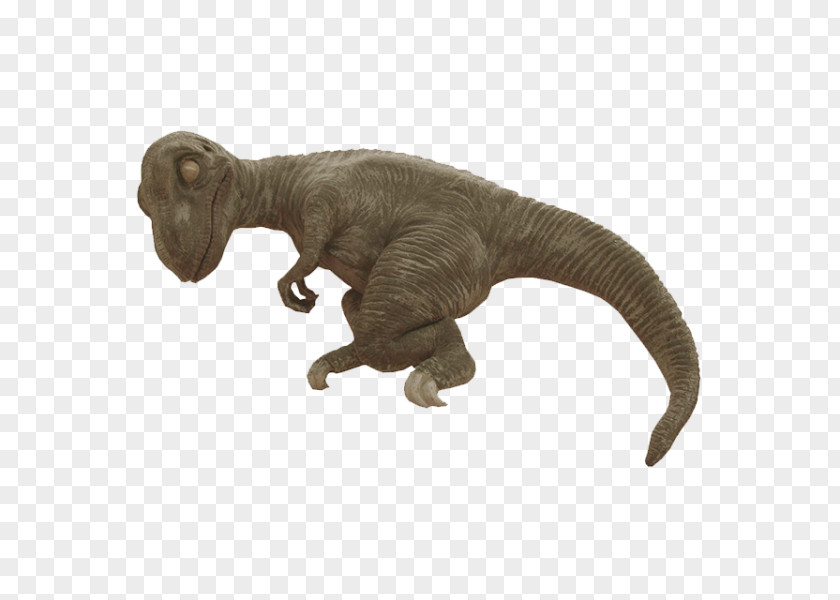 T Rex Baby Tyrannosaurus Triceratops Brachiosaurus Stegosaurus PNG