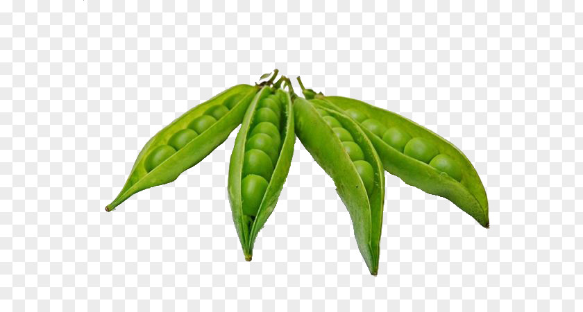 4 Pea Pod Dal Stock Photography PNG