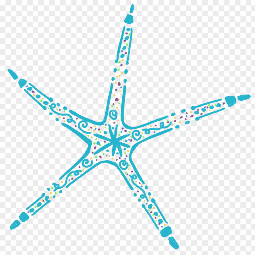 Starfish Echinoderm Line Point PNG