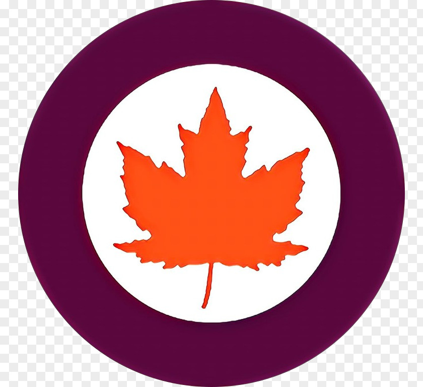 Symbol Maple Canada Leaf PNG