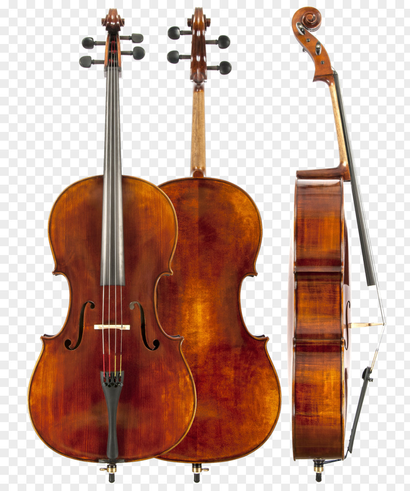 Violin Amati Cello Viola String Instruments PNG