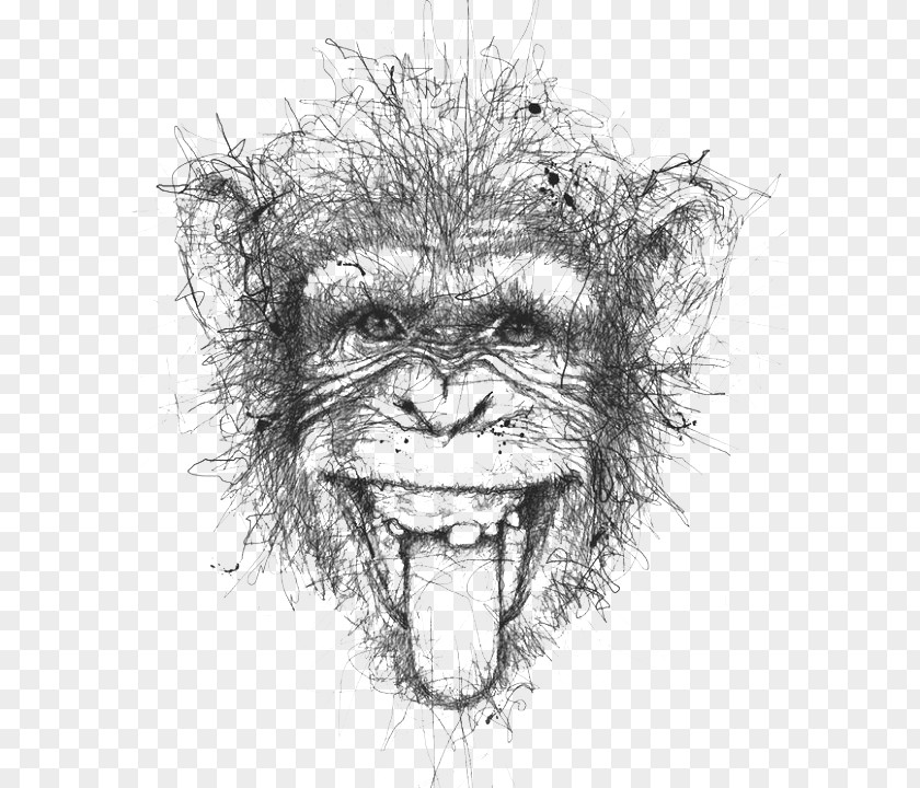 Black And White Lines Stitching Monkeys Artist Doodle Drawing Illustration PNG