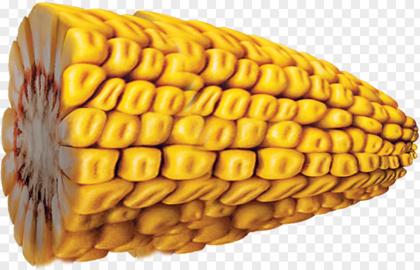 Food Import Finance Corn On The Cob Maize Money Credit PNG