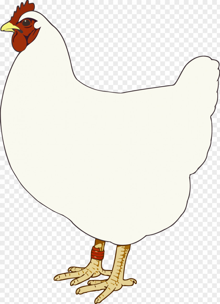 Hen Chicken Phasianidae Man In Cast Rooster Clip Art PNG