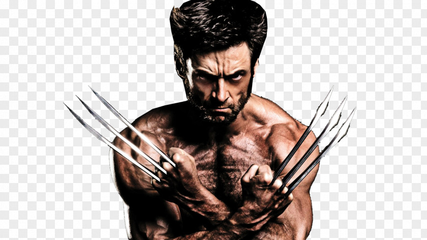 Hugh Jackman Photos Wolverine Professor X X-Men Film PNG