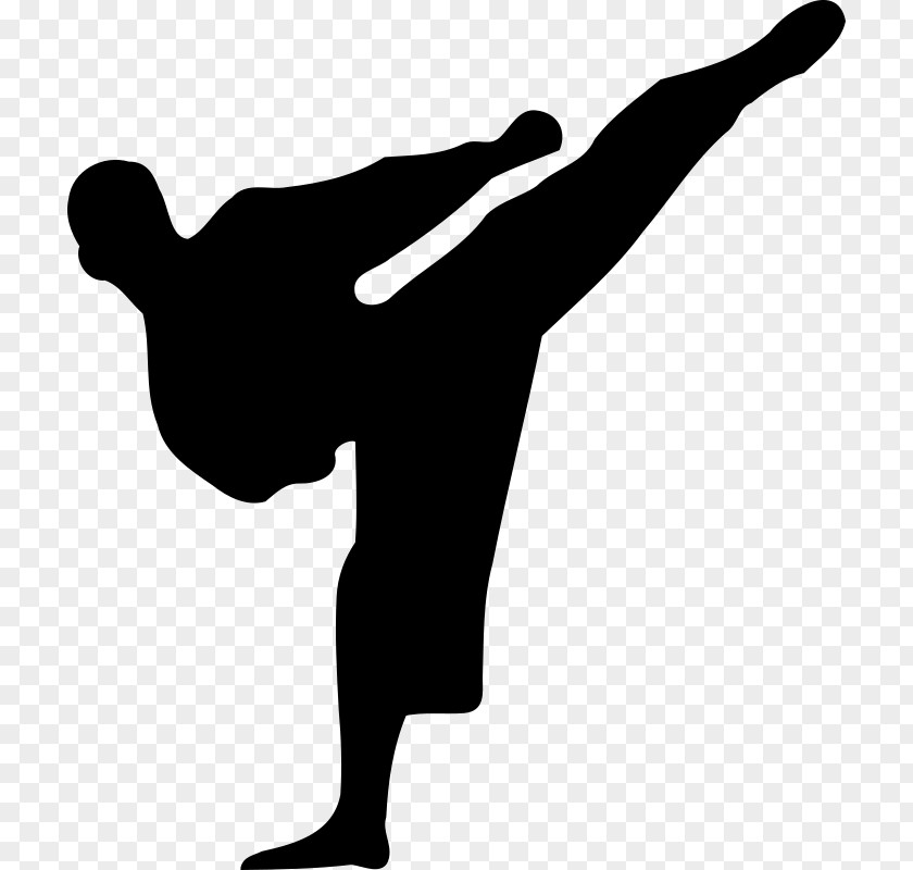 Karate Martial Arts Clip Art PNG