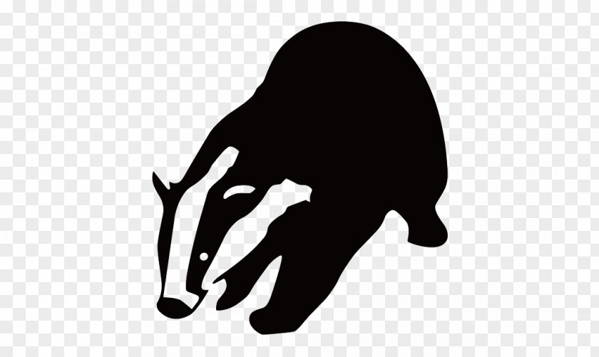 Badger PNG Badger, animal illustration clipart PNG