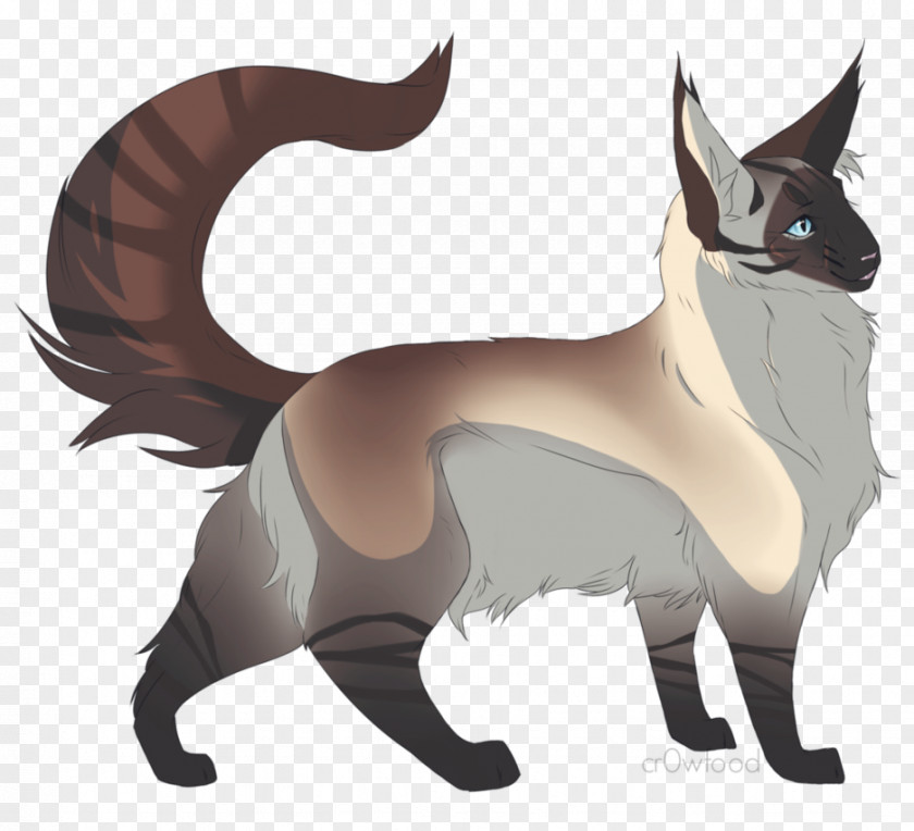 Cat Whiskers Dog Canidae PNG