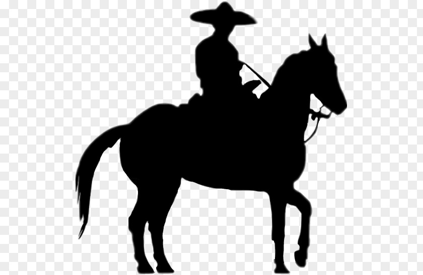 Charro Horse Mexico Silhouette Mariachi PNG