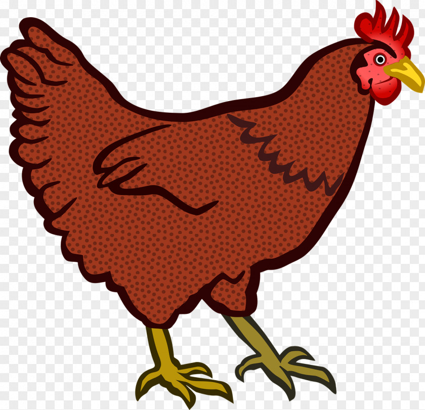 Chicken Hen Clip Art PNG
