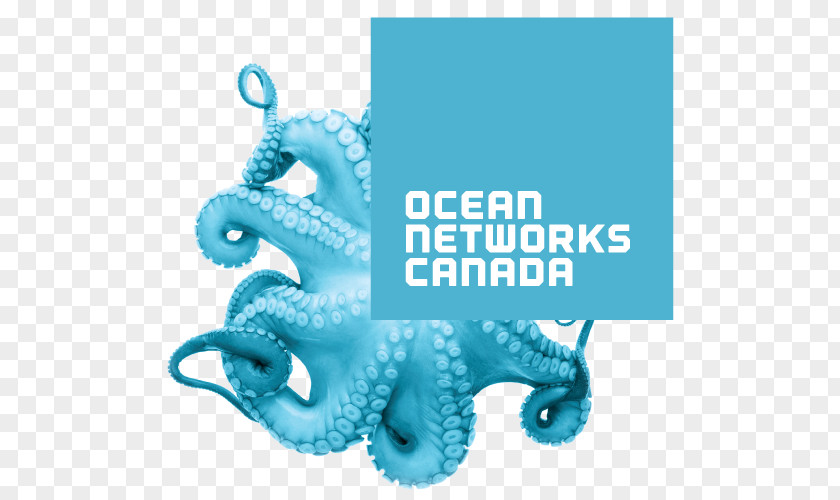 Earth Ocean Networks Canada Science NEPTUNE PNG