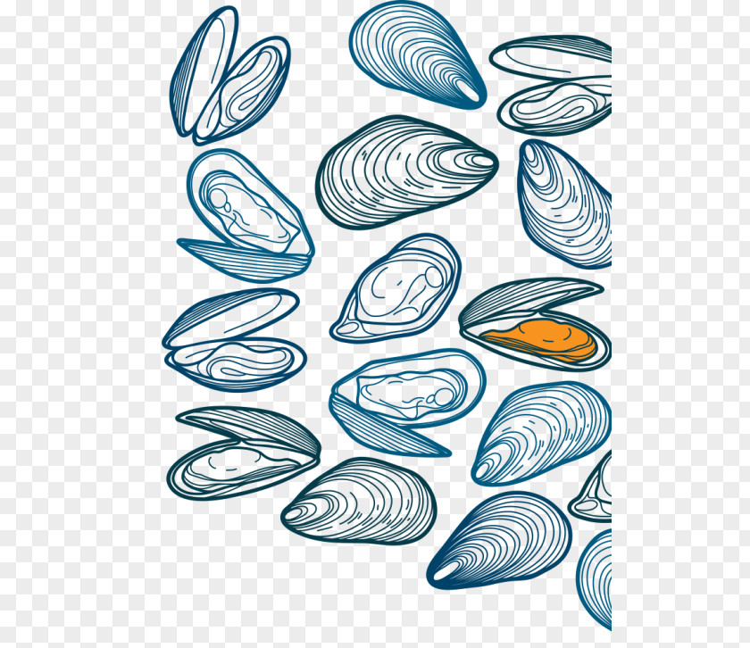 Fish Drawing PNG