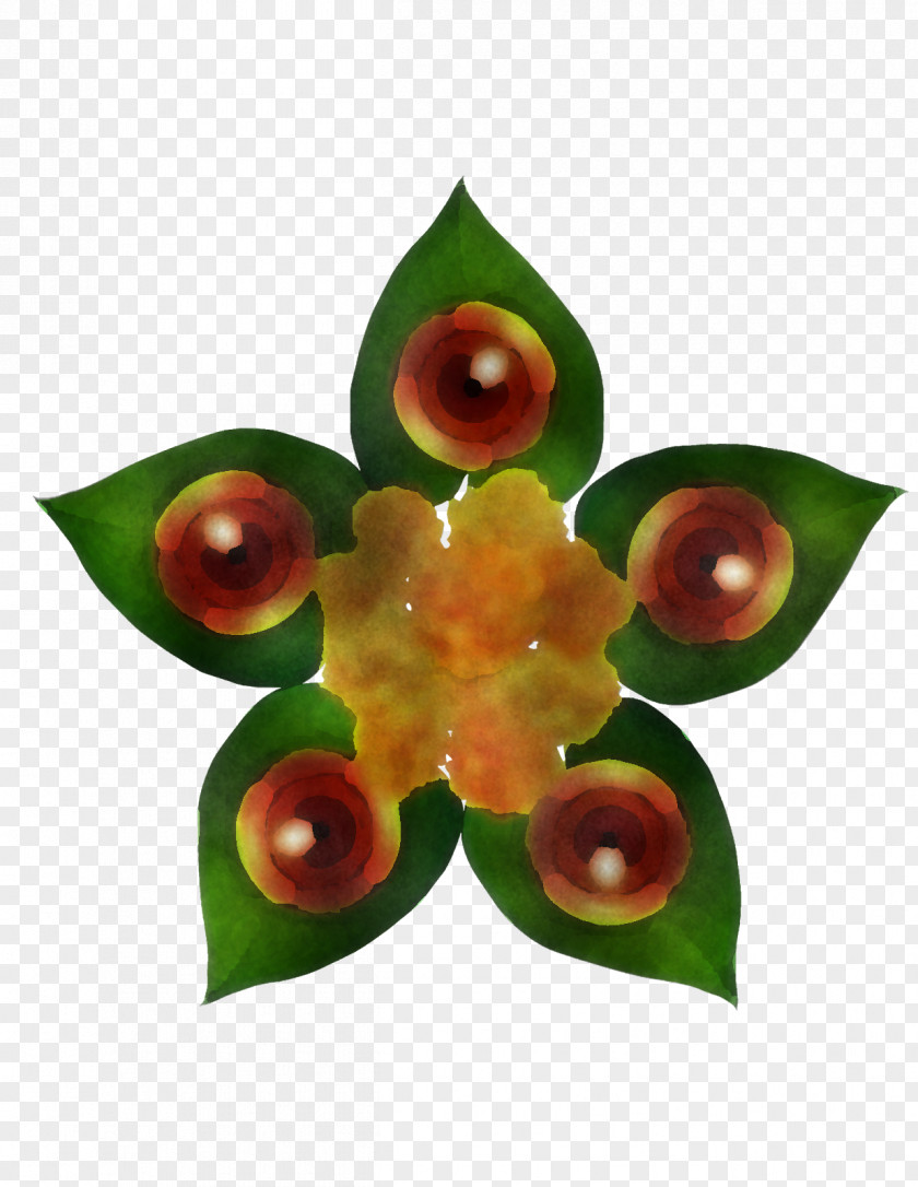 Flower Plant Leaf Anthurium Terrestrial PNG