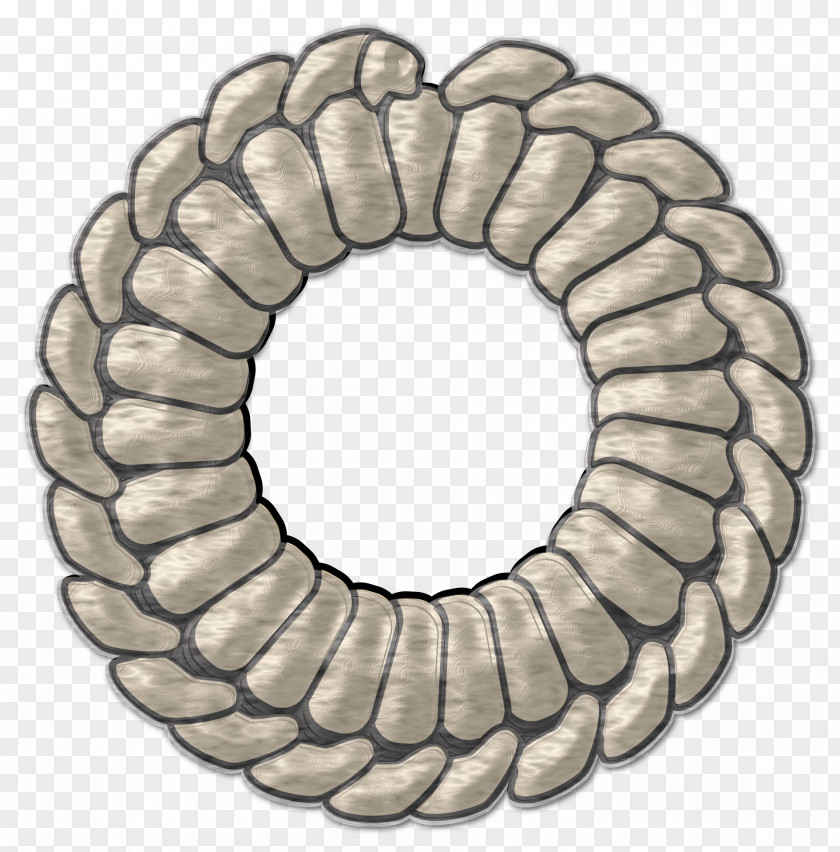 Gray Line Combination Ring Rope Clip Art PNG