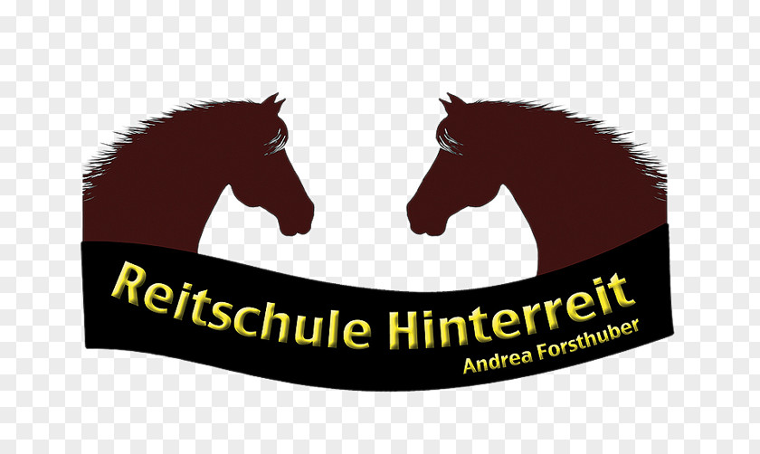 Mustang Reitschule Hinterreit, Andrea Forsthuber Vetterbach Equestrian Anthering PNG