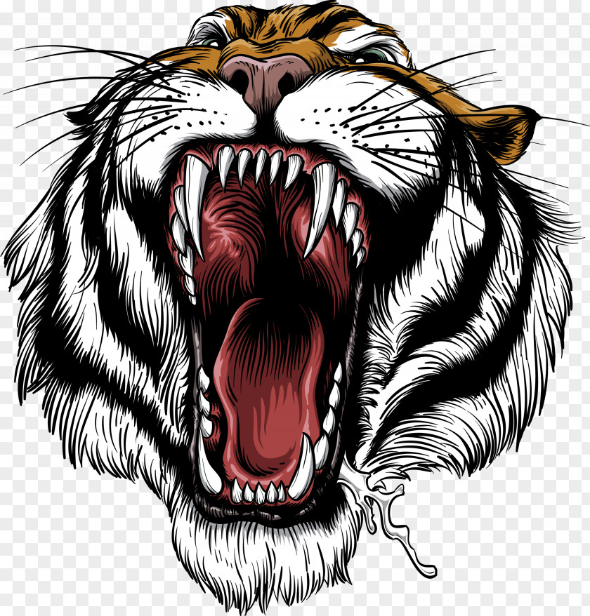 Open Mouth Of The Tiger Siberian Roar Lion Leopard Bengal PNG