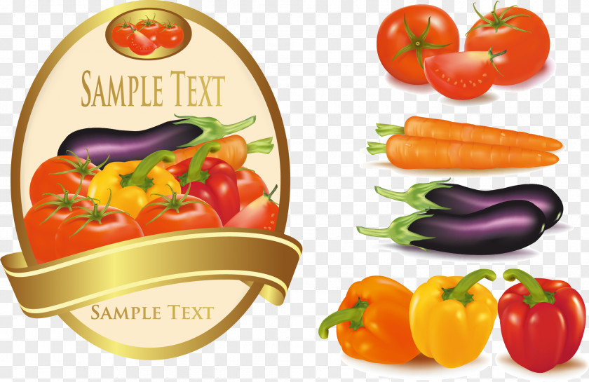 Vector Tomato Vegetable Salad Fruit PNG