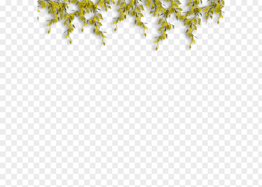 Yellow Green Fresh Bones Border Texture Software PaintShop Pro PNG