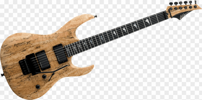 Bass Guitar Electric Acoustic Lag PNG