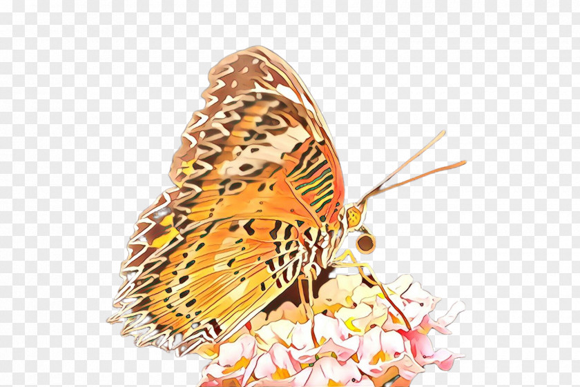 Cynthia (subgenus) Insect Butterfly Moths And Butterflies Argynnis PNG
