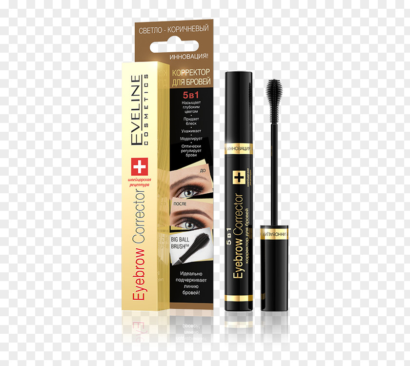 Eye Eyebrow Korektor Makijaż Eveline Cosmetics PNG