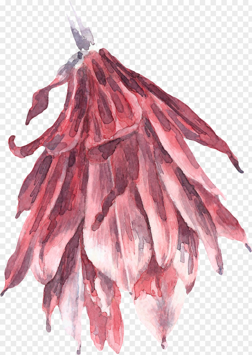 Feather Tree Pink Flower Cartoon PNG