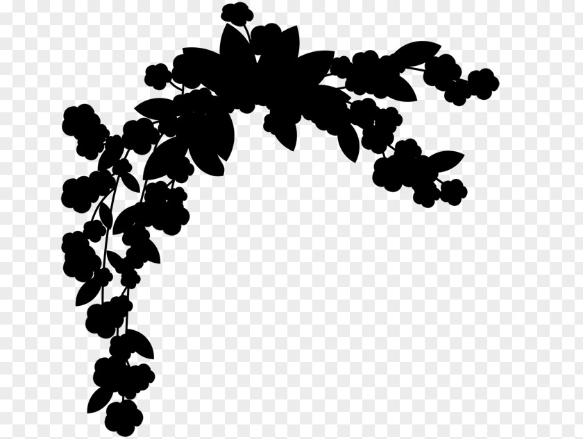 Font Line Leaf Pattern Flowering Plant PNG