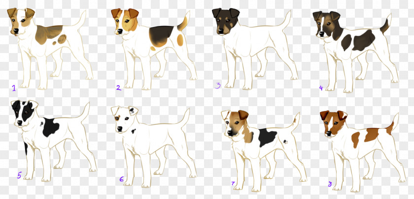 Jack Russell Terrier Dog Breed English Foxhound Cattle Animal PNG