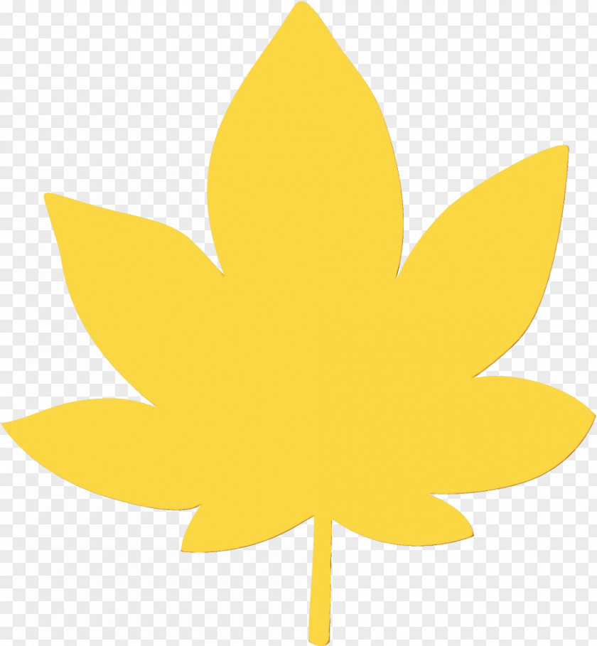 Maple Leaf Sunflower PNG