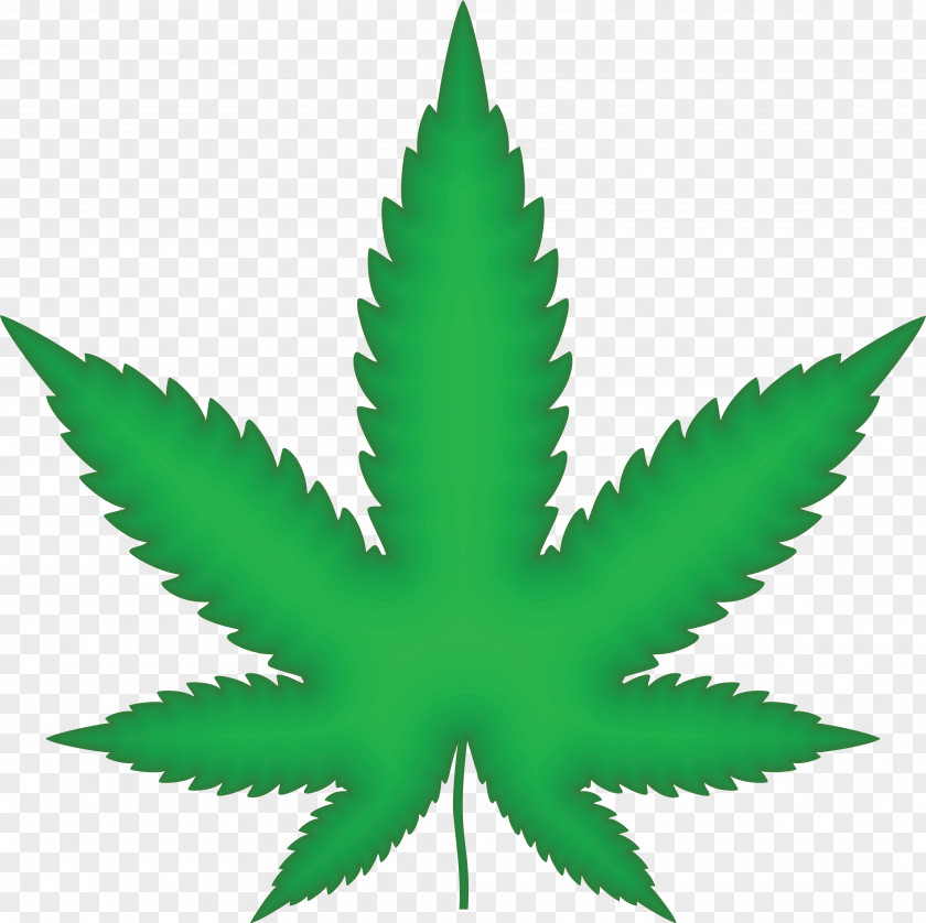 Weed Medical Cannabis Drawing Hemp Clip Art PNG