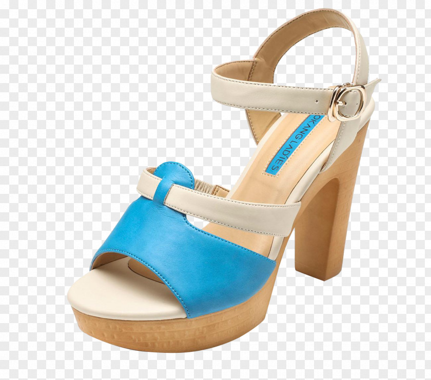 Blue Fish High Heeled Sandals High-heeled Footwear Shoe Sandal Designer PNG