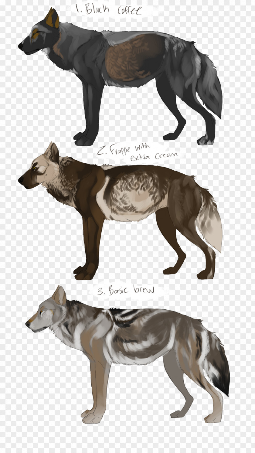 Coffee Theme Dog Breed Snout Fauna PNG