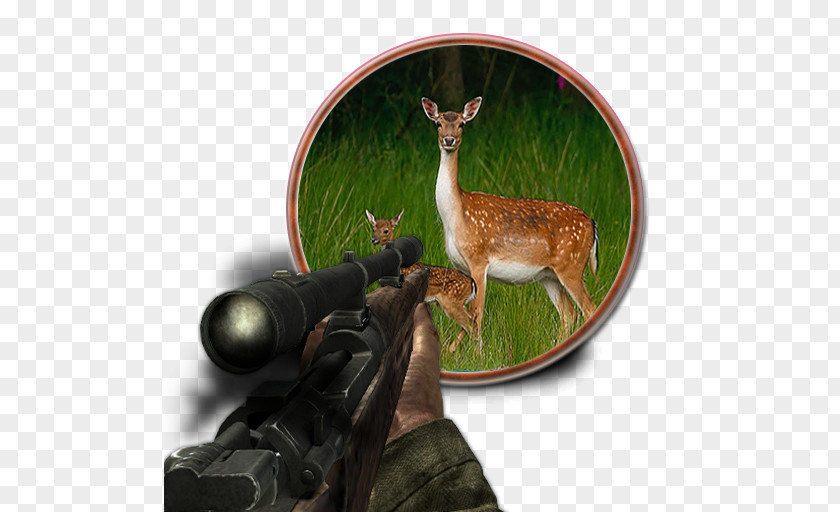 Deer Hunter 3D The Youth Of Bacchus Hyena Fallow PNG