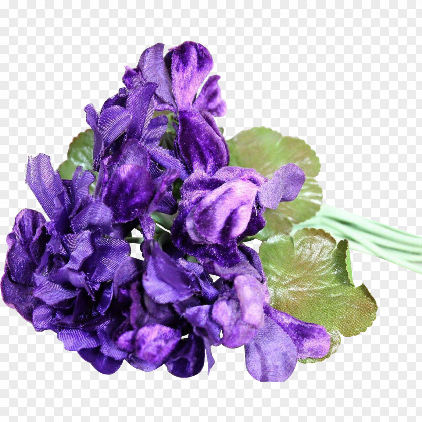 Flower Cut Flowers Violet Petal Corsage PNG