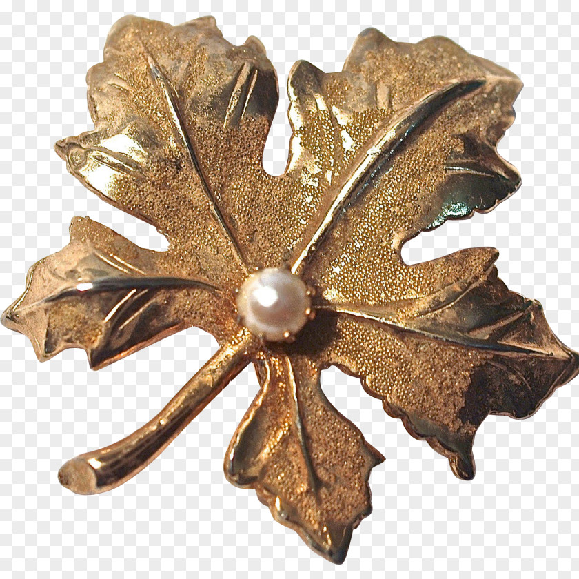 Gold Leaf Brooch Jewellery Maple PNG