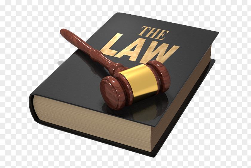 Lawyer Criminal Defense Legal Aid Law Firm PNG