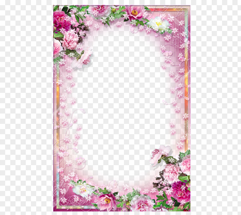Warm Pink Flowers Floral Frame Picture Application Software Download PNG