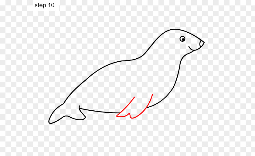 Baby Wild Animals Sea Lion Drawing Image Illustration Clip Art PNG