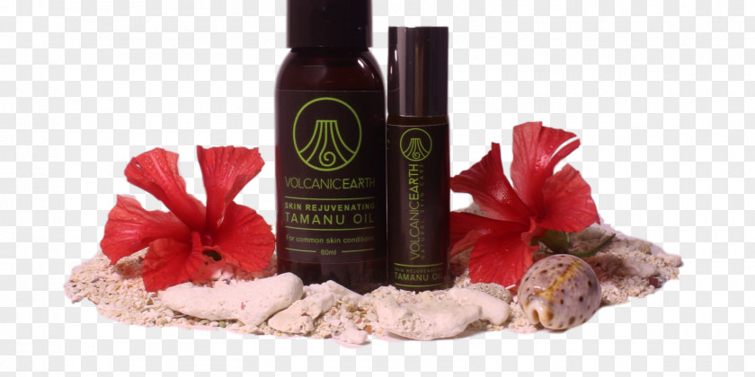 Oil Tamanu Coconut Moisturizer Skin Care PNG
