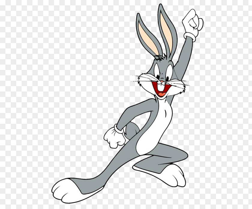 Rabbit Bugs Bunny Daffy Duck Clip Art PNG