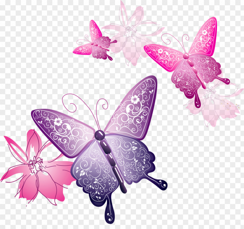 Transparent Butterfly Decorative Clipart Clip Art PNG