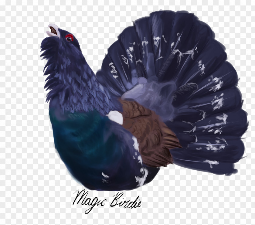 Bird Western Capercaillie Drawing Art PNG