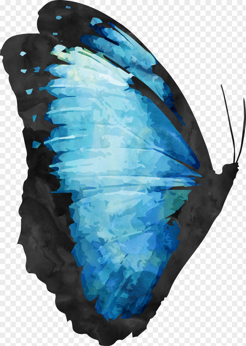 Butterfly Download PNG