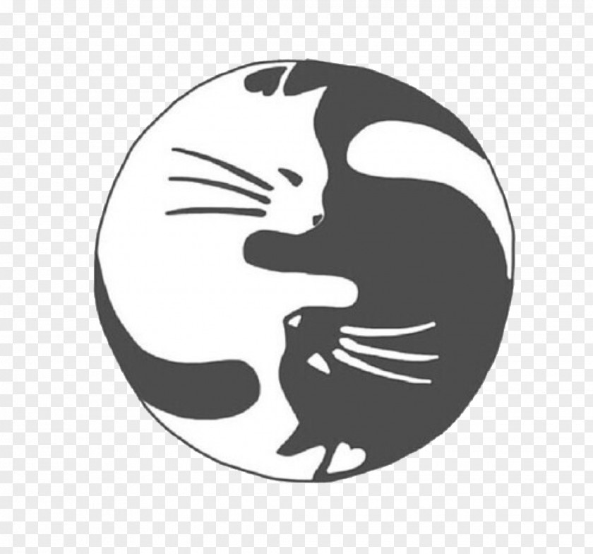 Cat Black Kitten Yin And Yang PNG