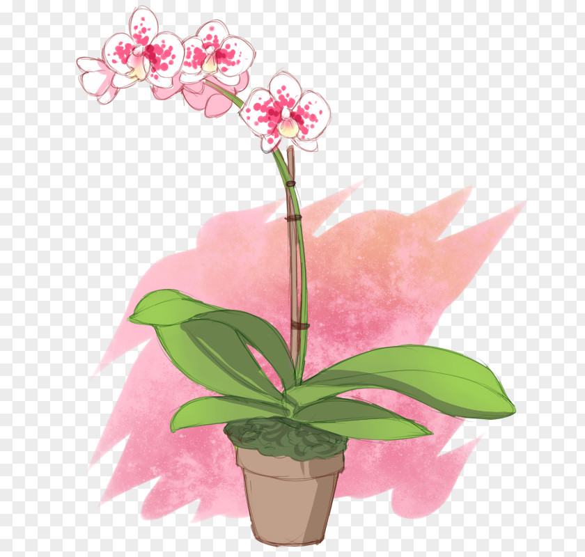 Design Moth Orchids Cut Flowers Floral Flowerpot PNG
