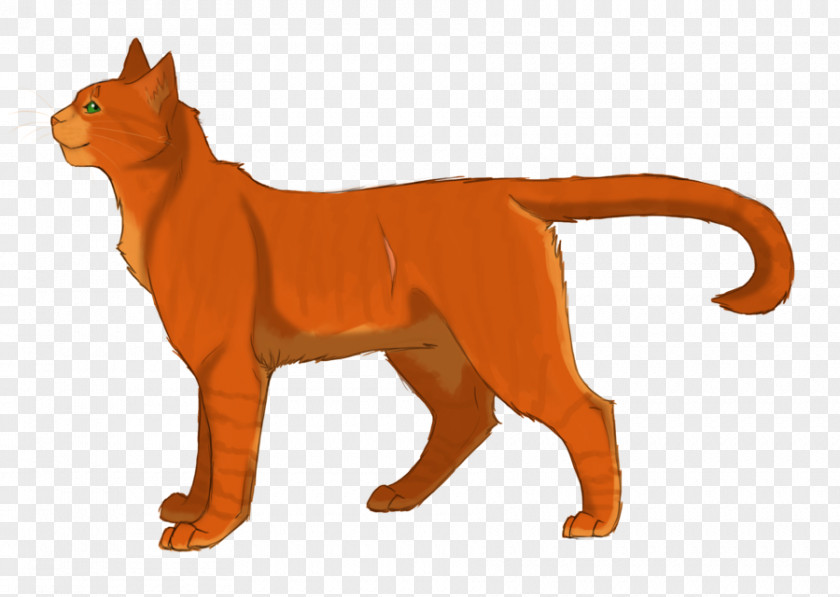 Firestar Png Designs Cat Warriors Firestar's Quest Drawing PNG