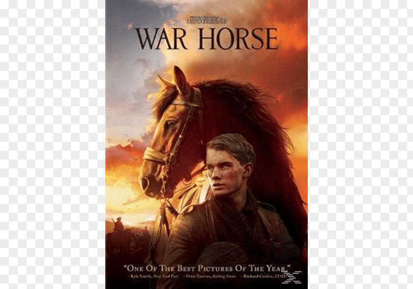 Horse Film Director DVD Cinema PNG