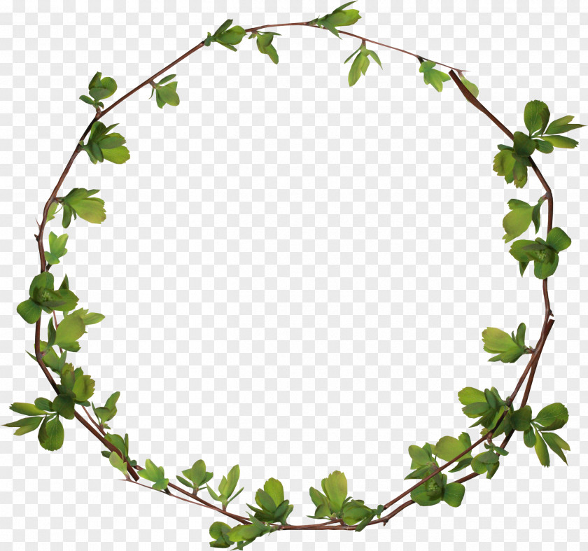 Leaves Ring Circle Clip Art PNG