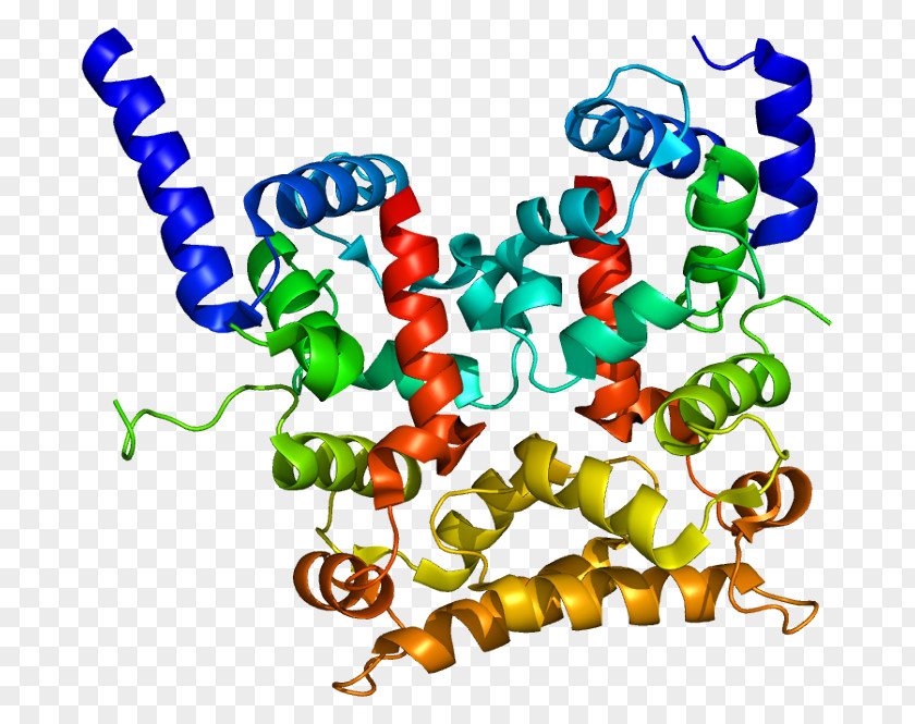 Sodiumglucose Transport Proteins Calcineurin B Homologous Protein 1 Gene EF Hand PNG